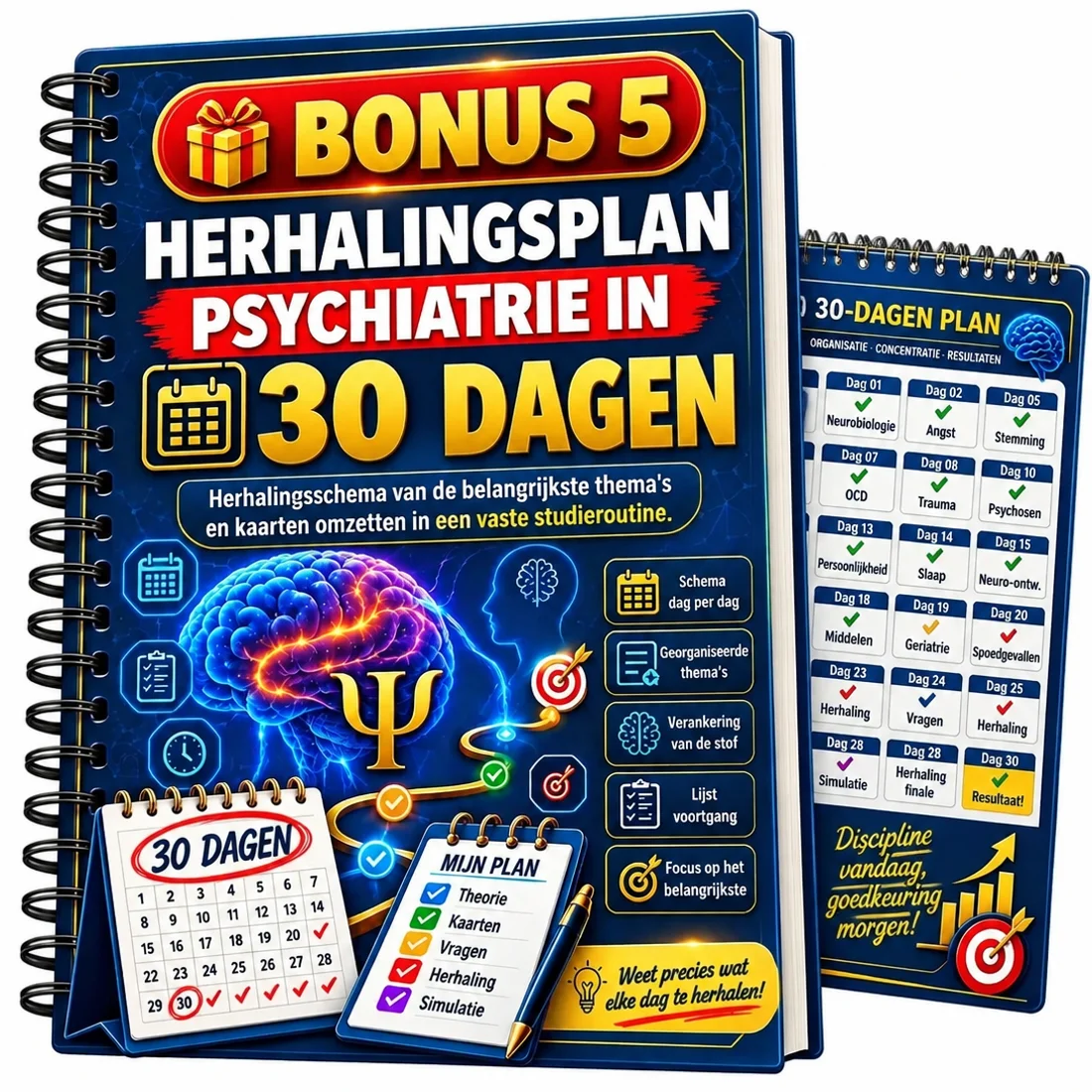 30-daags herhalingsplan psychiatrie