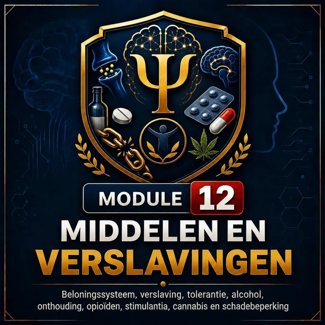 Middelen en verslavingen